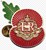 Fundraiser icon