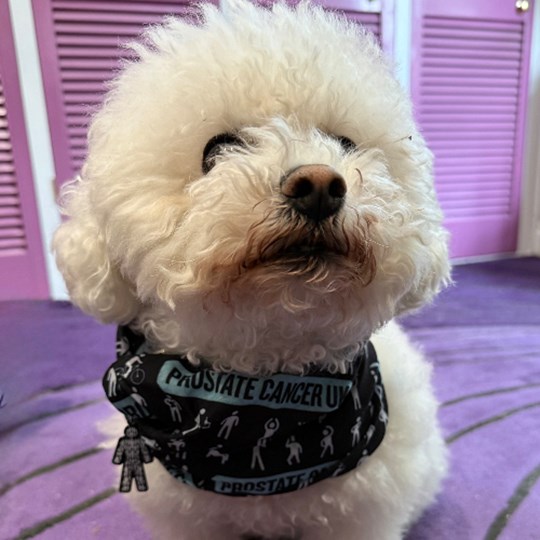 Quanta's walkies for Prostate Cancer UK's March for Men