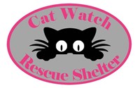 Cat Watch