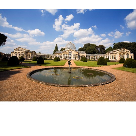 Macmillan Coffee Morning 2025