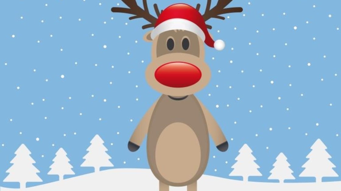 COBH Christmas Rudolph Run - JustGiving