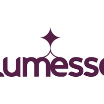 Lumesse Interns 17