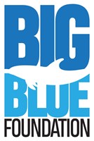 Big Blue Foundation