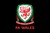 Fundraiser icon