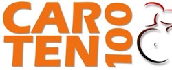 Team logo
