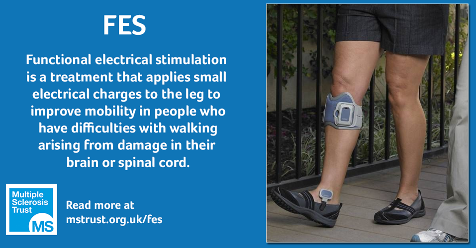 Functional Electrical Stimulation Fes - Paediatric Physiotherapy -  Treatments 