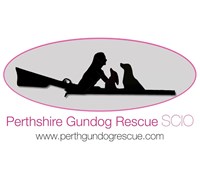 Perthshire Gundog Rescue Scio