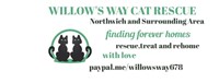 Willowsway Cat Rescue