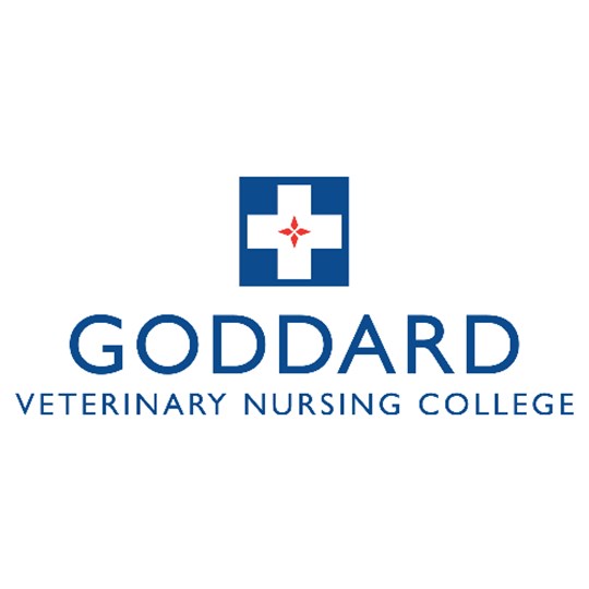 Goddard Veterinary Nursing College  - Christmas Jumper Day