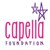 Fundraiser icon