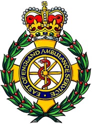 Team logo