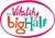 Fundraiser icon