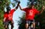 Fundraiser icon