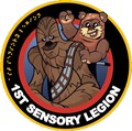 1st Sensory Legion