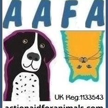 Action Aid for Animals