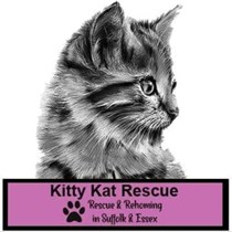 Kitty Kat Rescue