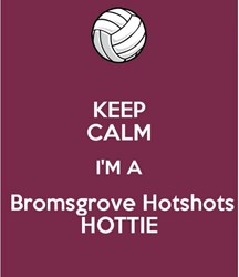 Team logo
