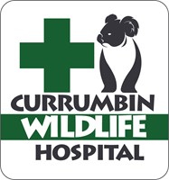 Currumbin Wildlife Hospital Foundation