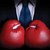 Fundraiser icon