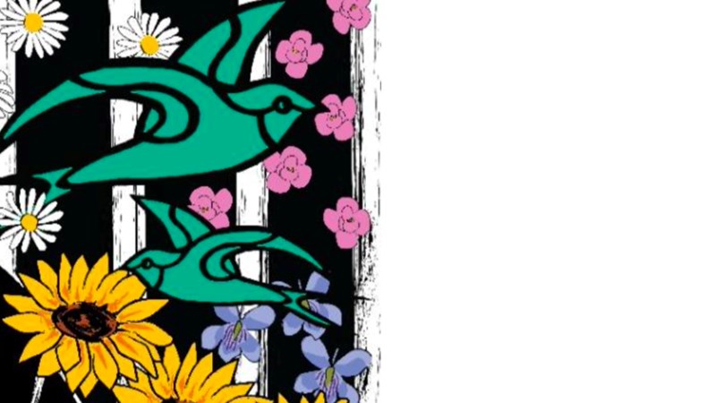 cover photo