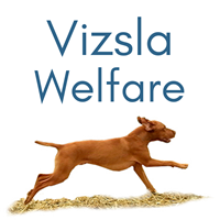 Vizsla Welfare