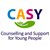 Fundraiser icon