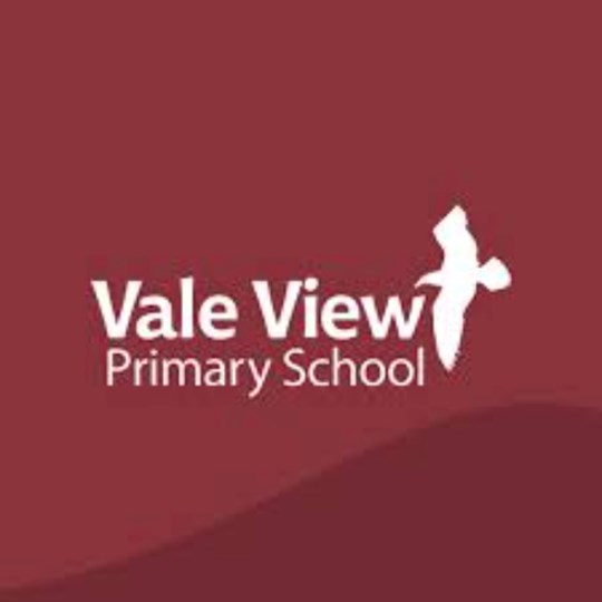 Vale View School - Christmas Jumper Day