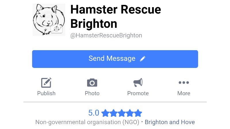 cover photo