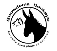 Snowdonia Donkeys