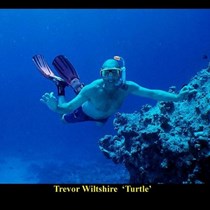 Trevor wiltshire