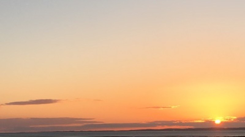 cover photo