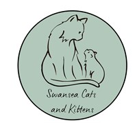 Swansea Cats and Kittens