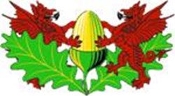 Team logo