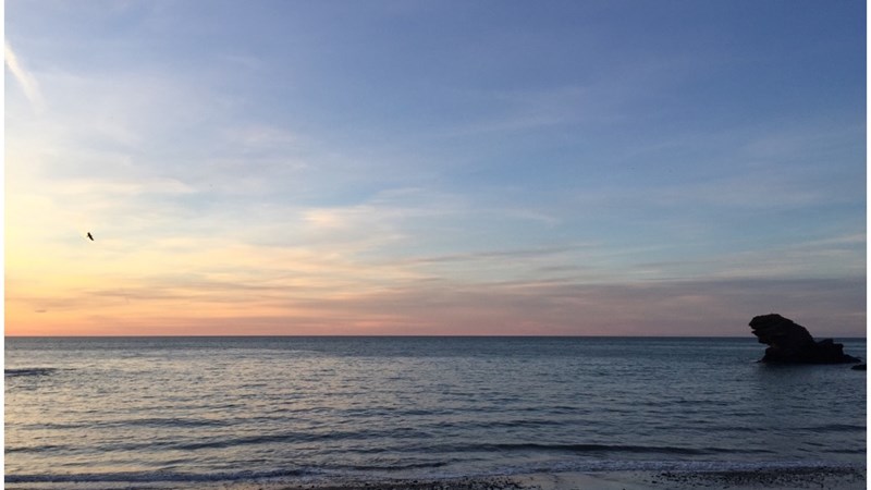 cover photo