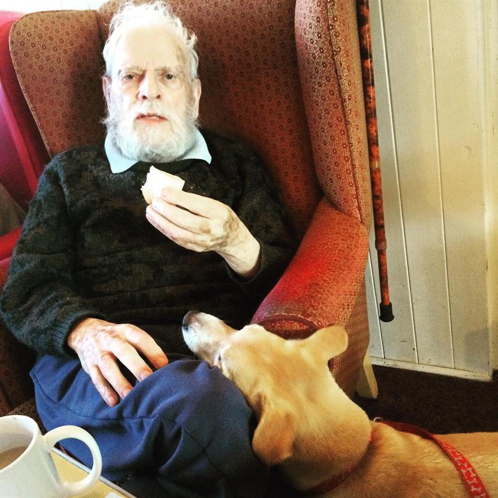 lord whiskey cat sanctuary