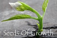 Seeds Of Growth