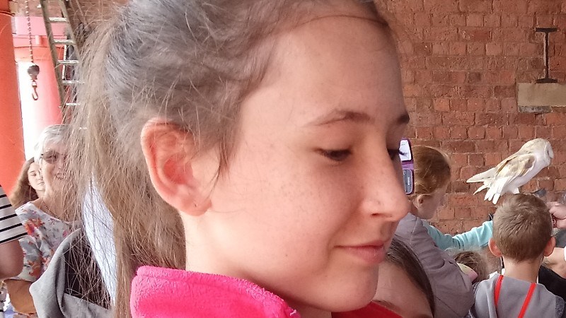 cover photo