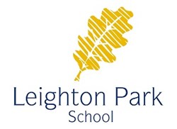 Team logo