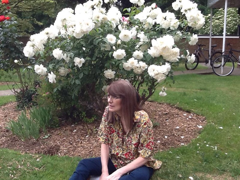 cover photo