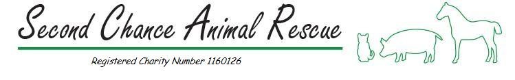 Second Chance Animal Rescue Crockenhill