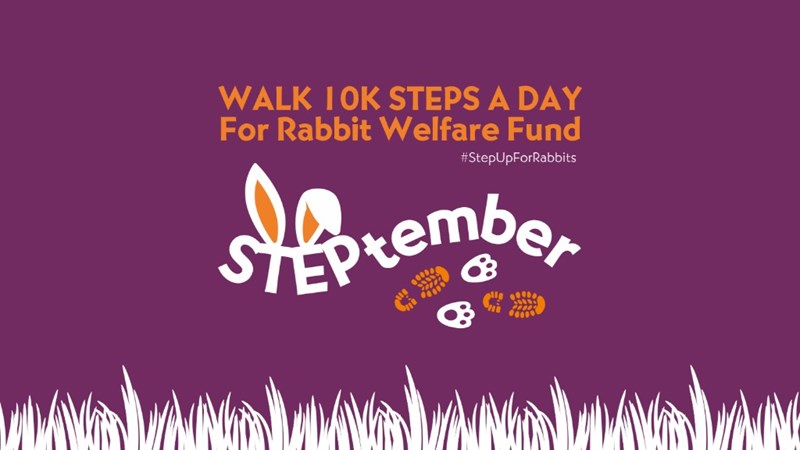 STEPtember - JustGiving