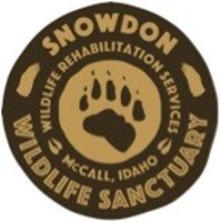 Snowdon Wildlife Sanctuary