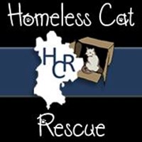 Homeless Cat Rescue