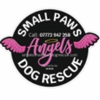 Angels Small Paws Dog Rescue (East Midlands)