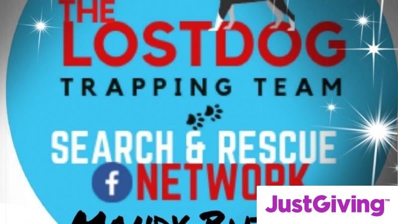 Lost dog best sale search team