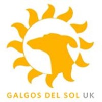 GALGOS DEL SOL UK