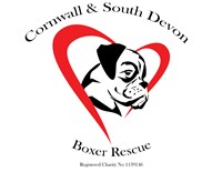 Cornwall and South Devon Boxer Rescue