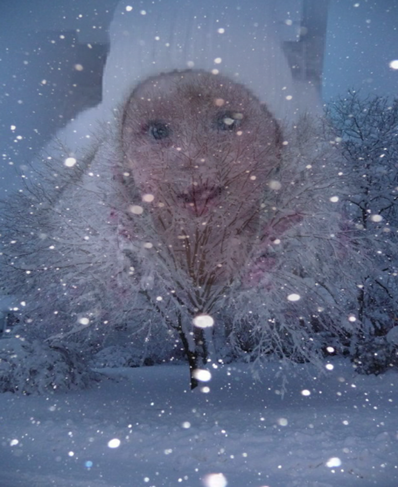cover photo