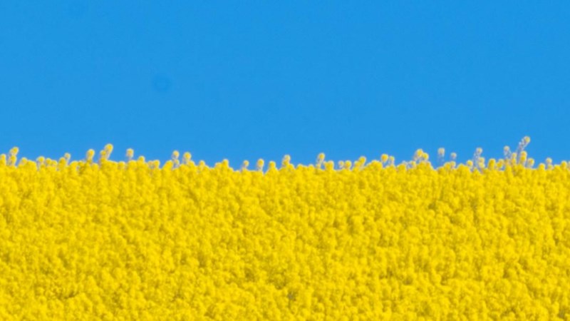 cover photo