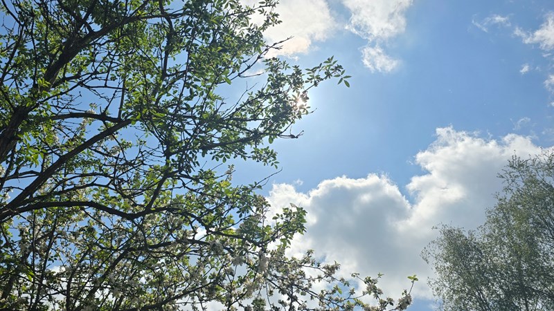 cover photo